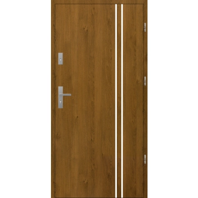Drzwi A6 INOX Winchester 55 mm